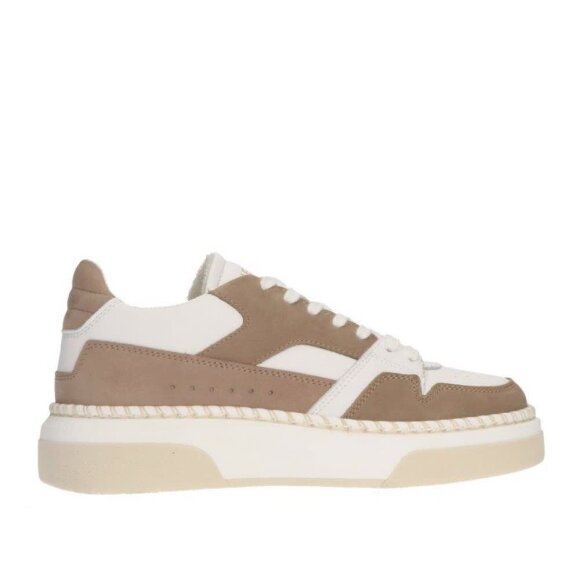 Pavement Boo Sneakers Brown Combi