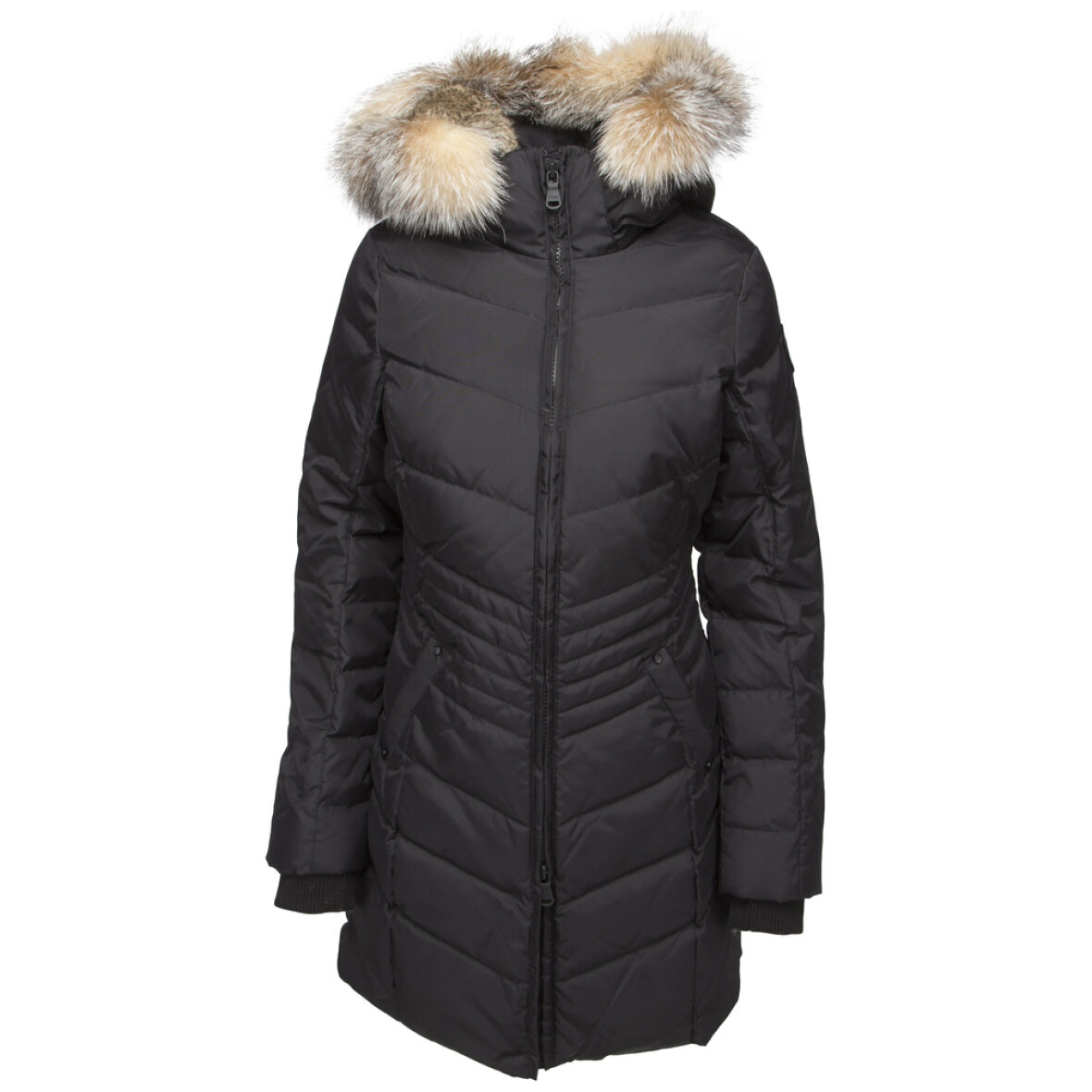 vulkansk Hurtig revidere pajar Pajar Brooklyn long length jacket sort - Shop online nu